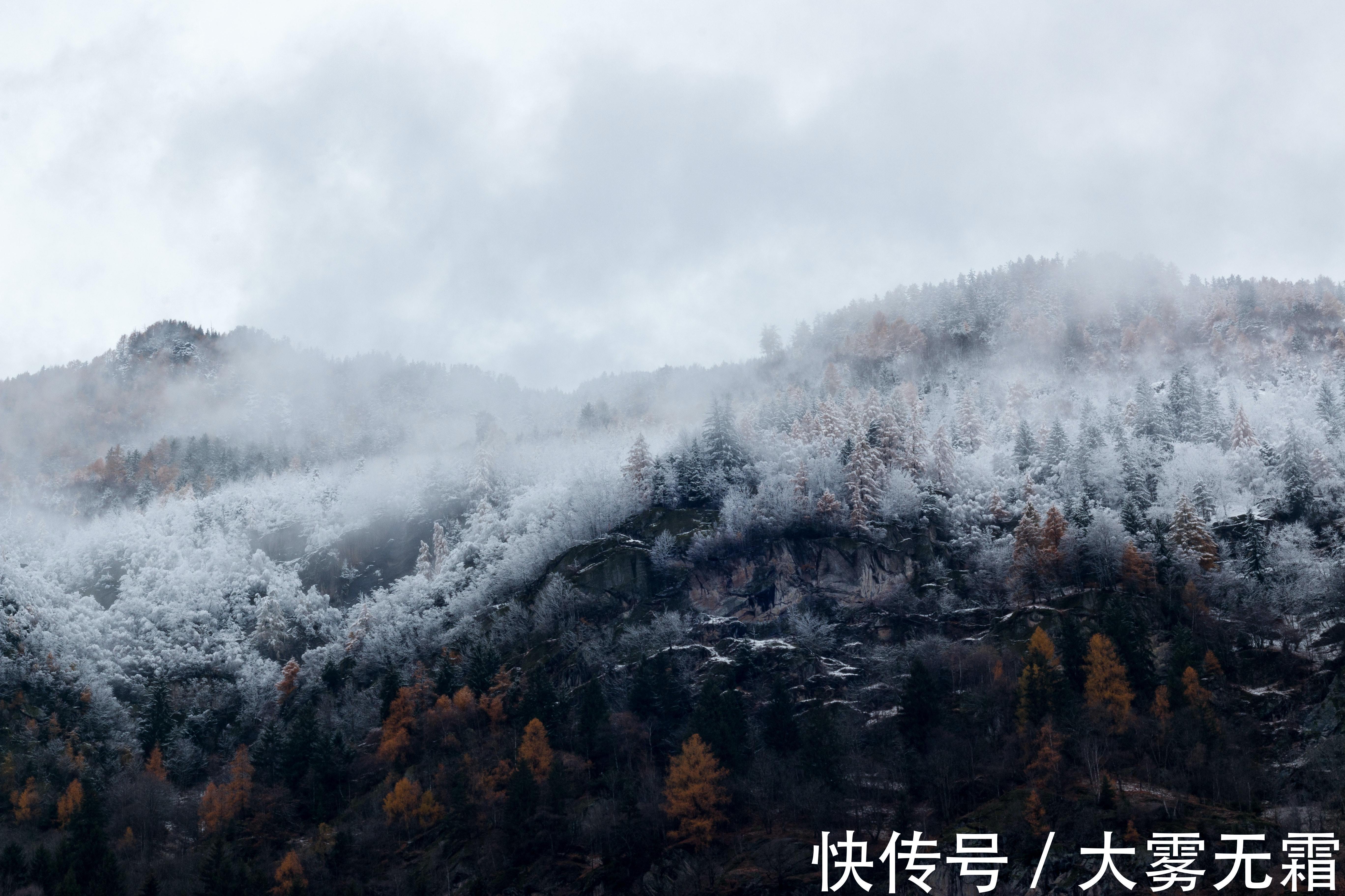 广告|房地产广告那么假大空却还自我感觉良好，哪来的底气？