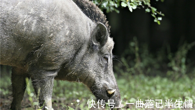 22个冷知识：或许没有地方能够使用到，但却很有意思的趣味知识