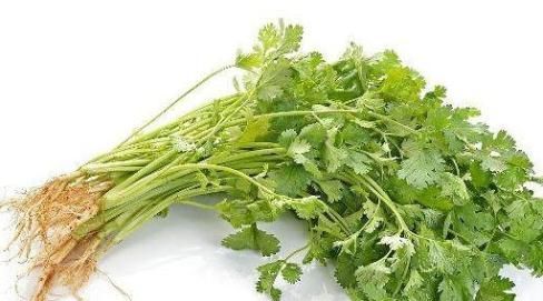 食疗法|感冒咳嗽试试4种食疗法,感冒第二天消失不见!试过的都说好!