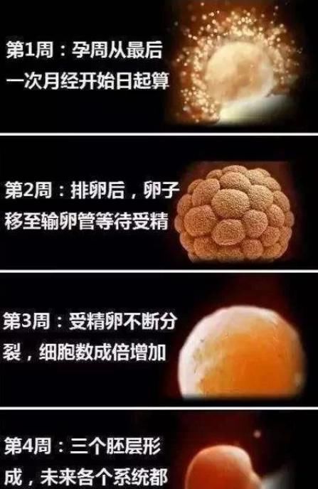 月经推迟|怀孕第一个月都有哪些变化?如果出现这7种感觉,大概率是中奖了