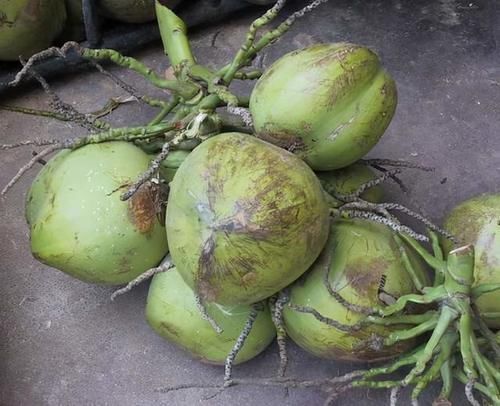 含糖量|这5种水果一点都不甜,但含糖量数一数二,糖尿病患者要当心