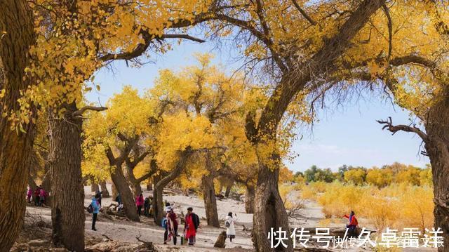 胡杨|一年只美21天就在下个月，再犹豫就真错过了