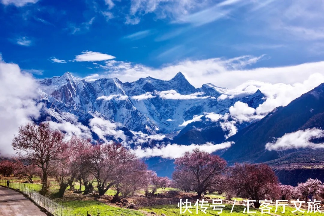 雪山|春天,让人憧憬的旅行目的地,莫过于去林芝看桃花!