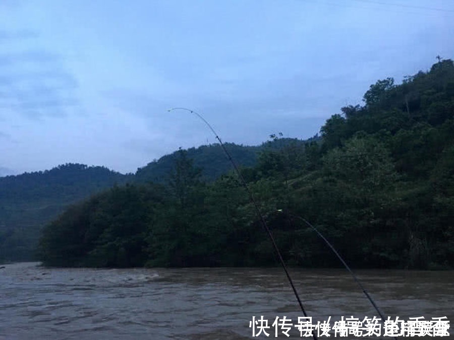 钓鱼|洪水过后去钓鱼，这么大的黄颡鱼，还是头一次钓获