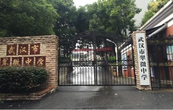 学校|民办摇不上能否回公办对口？武汉有这些优质公办初中