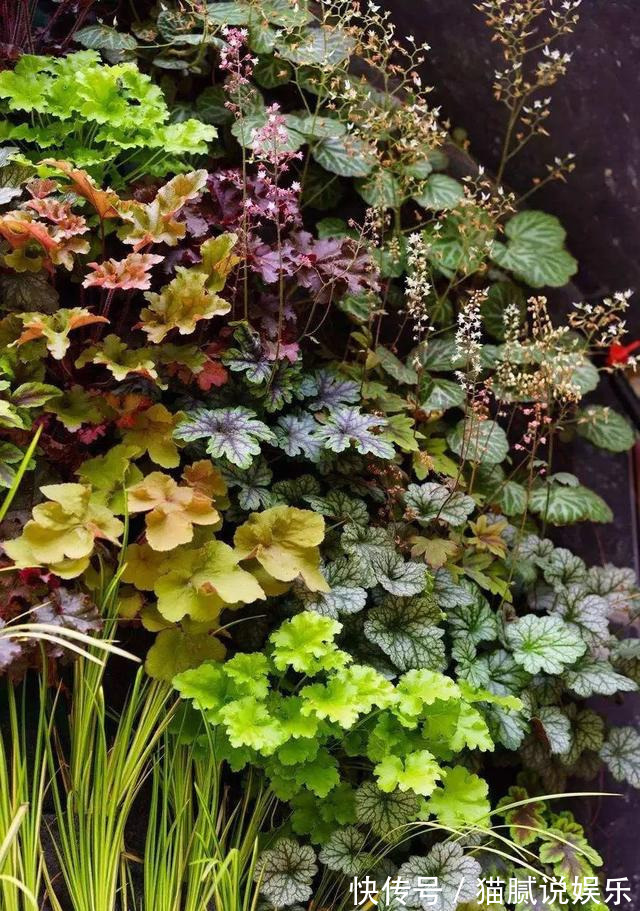 这9种花园,随便1个都美上天了,有一种这辈子就满足了!