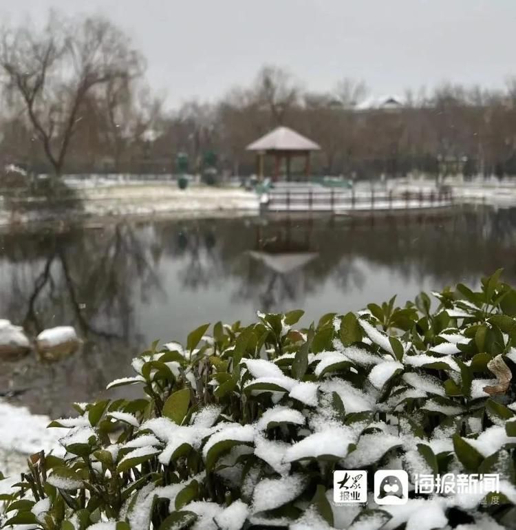 赏景|寻美淄博丨解锁赏景新姿势 实拍风雪中的一幕幕美景