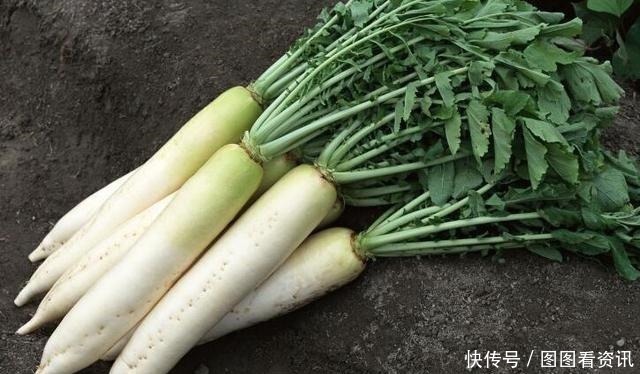 咳嗽痰多|老祖宗流传下来的润肺止咳的偏方，常喝一年四季不咳嗽，超简单