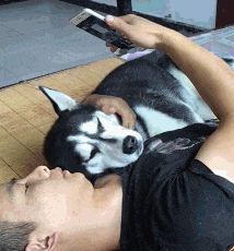 |搞笑GIF:这样的妹子 一看就不是省油的灯