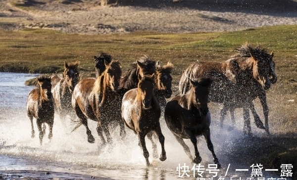 职场|家中若有这三个生肖，10月必当心想事成，职场顺遂，事业赢得先机