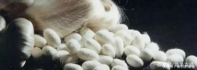 真丝到底贵在哪最专业的“真丝面料”解析,不懂真丝别说你会穿