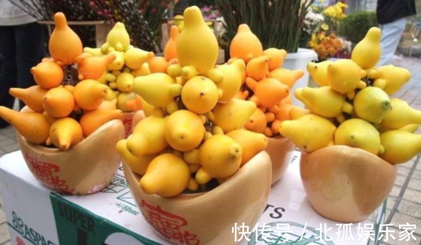 “3种花”旺家、旺财好兆头，寓意好又漂亮，家中必备！