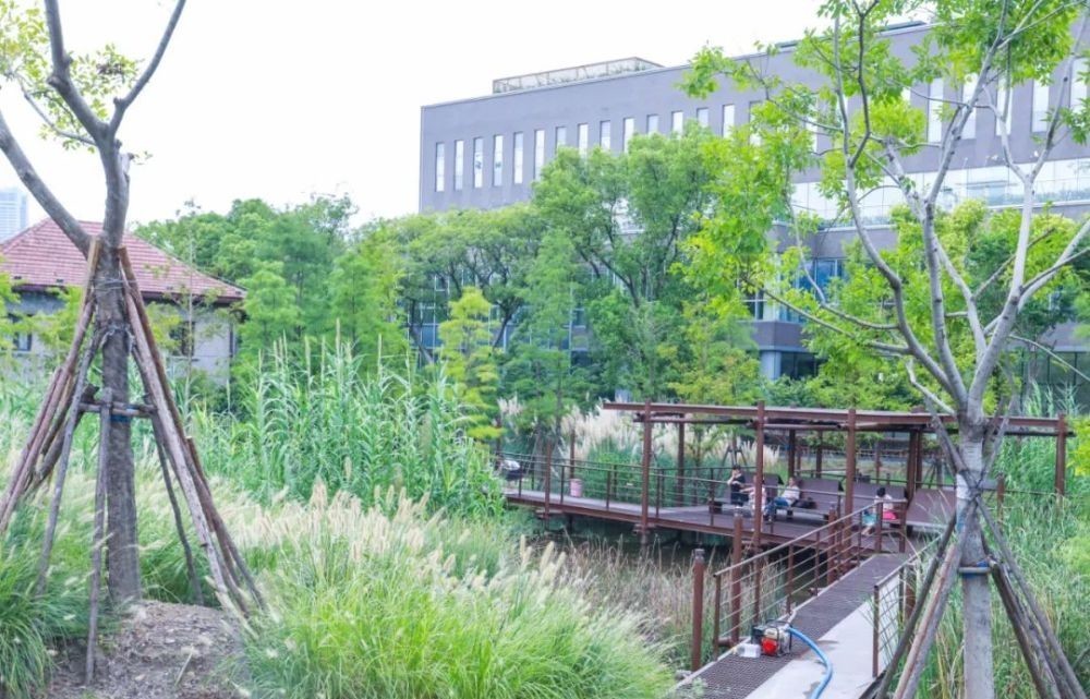 观百年历史,追寻老上海记忆!