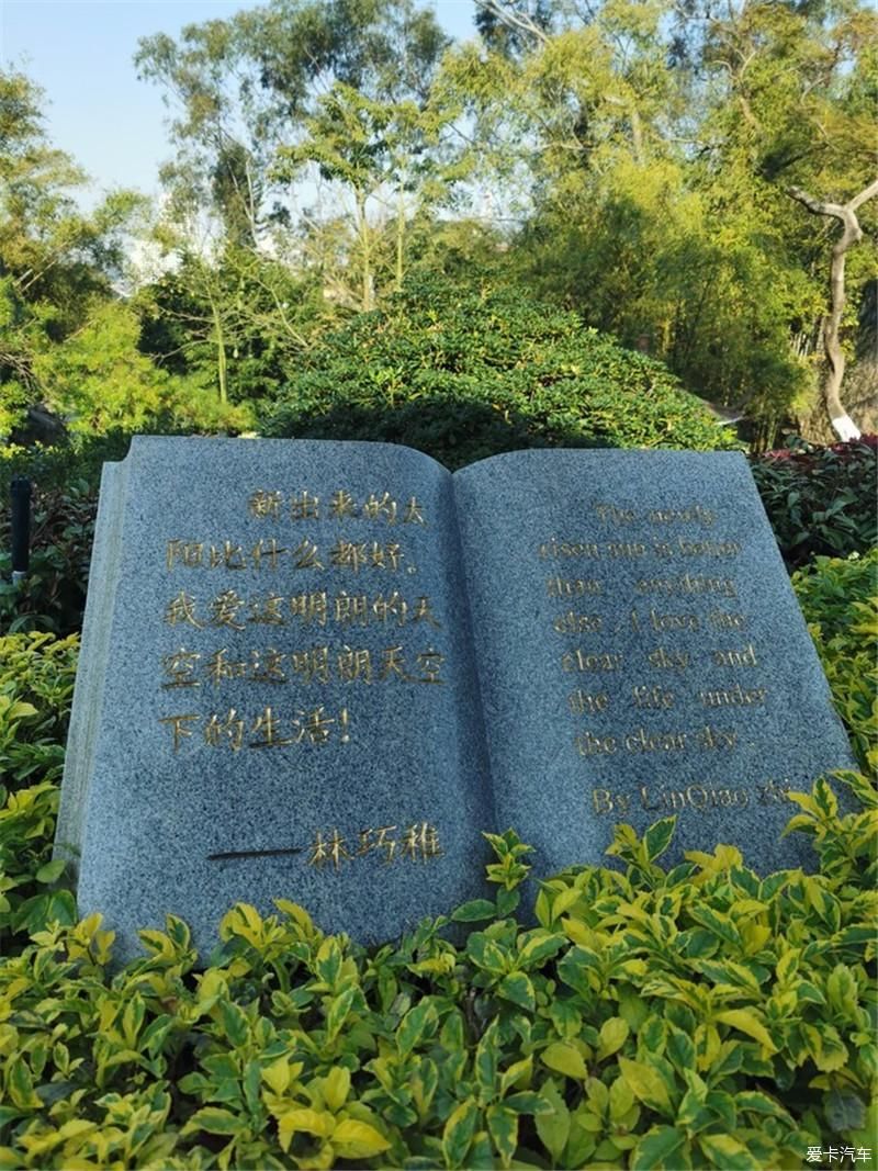 花海|厦门自由行