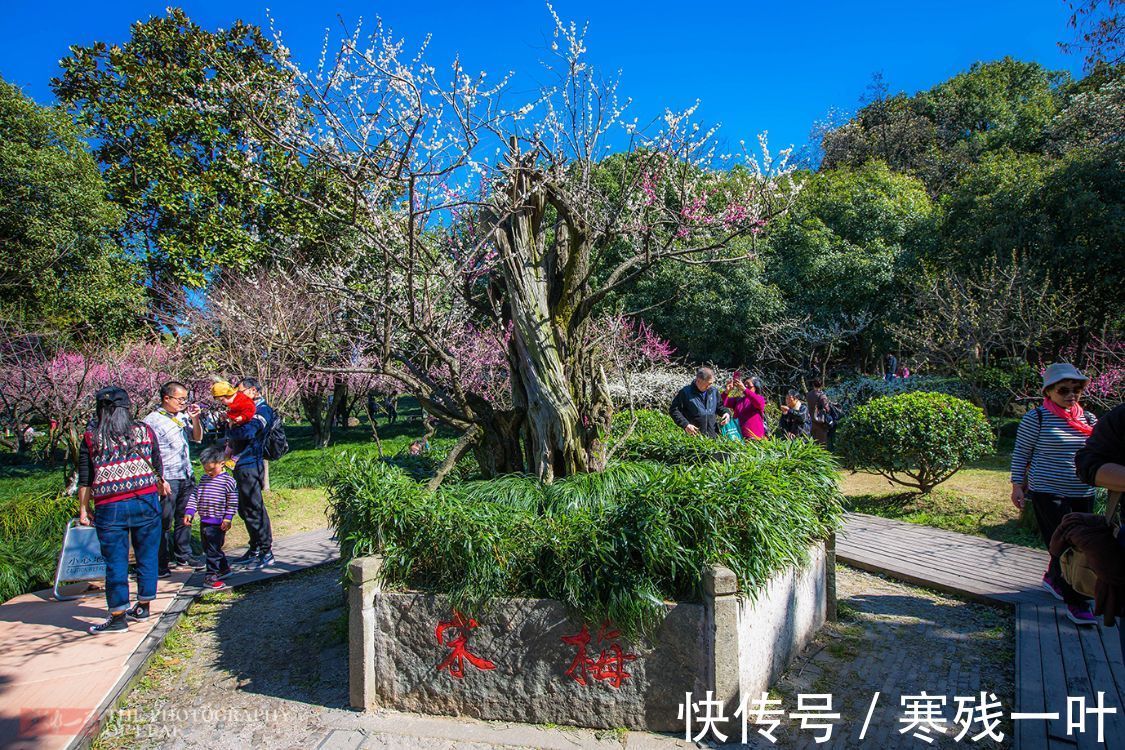 高宗|杭州有个赏梅登山好去处，不用门票免费停车，就在市郊知道人不多