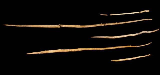 战争|现代人类的立族之战，和尼安德特人的战争持续十万年