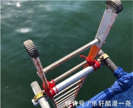 周继红|全红婵被周继红选中,出国去“跳海”,陈若琳为何会成她的教练