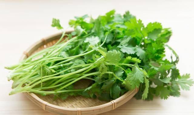 苋菜|坐月子不能吃香菜吗？月子里吃蔬菜，5吃5不吃，有营养才健康