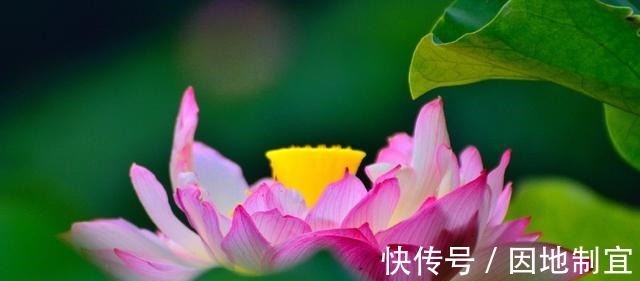 底朝天#《道德经》有和没有的关系,原来是这样,你能掌握吗!