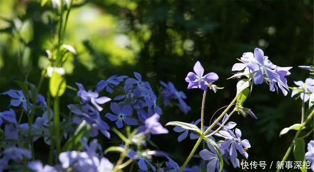 世界|能容纳世界的人,有一颗比这世界还要宽广的心