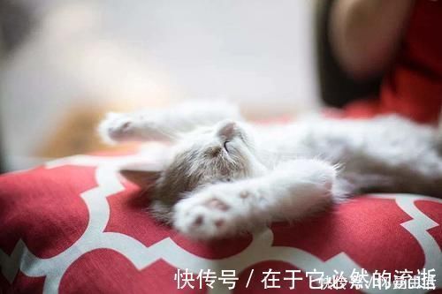 窗子|晚上睡觉要不要关卧室门窗?纠结了这么久,终于知道了