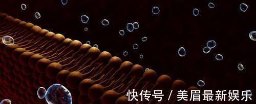 高血脂|大学教授:不想血管堵塞,做好这1点,血脂'蹭蹭'下降,远离血栓