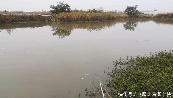 冬季钓鲫鱼,技巧无非6个“小”,气温低也能钓爆护!