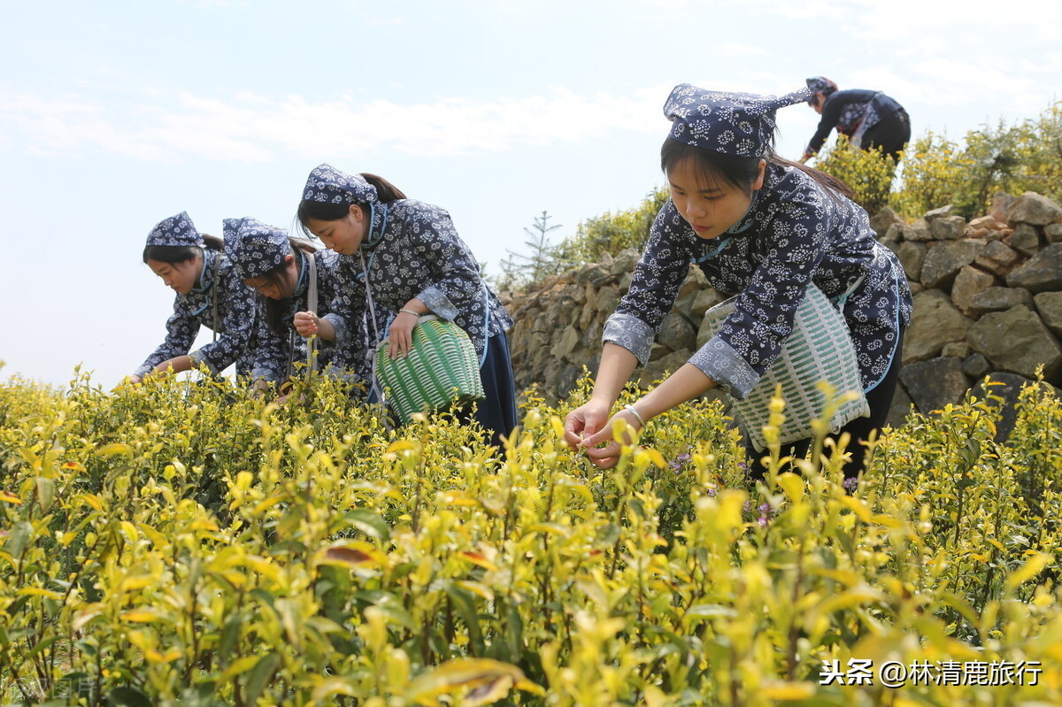 适合养生的江南小城