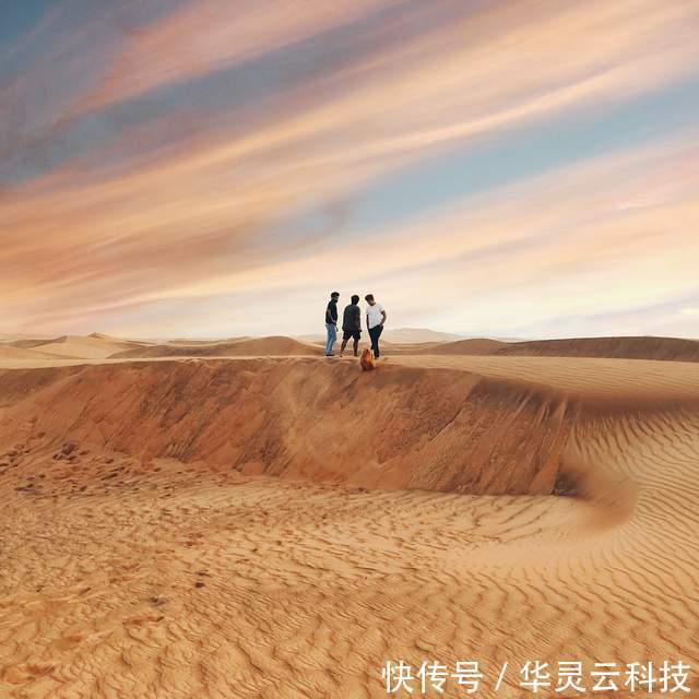 iMile跨境物流分享|掘金沙特，离无纸化支付还有多远 | 支付