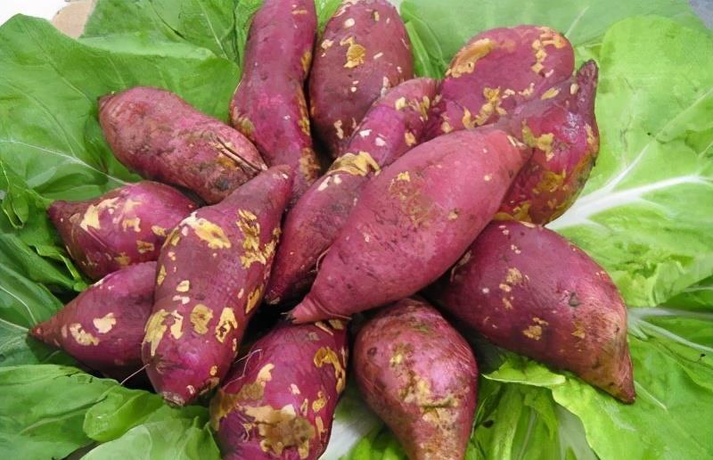  不妨|人到中年想长寿，不妨多吃3种食物，营养丰富，增强体质！