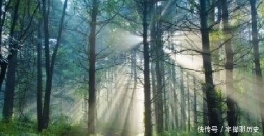 寺院|韦应物闲居赋诗,一首绝句充满闲情逸致,更是百读不厌