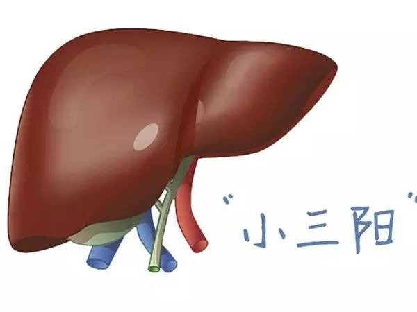 治愈|这五种疾病治不好,不要被骗了,说能治的都是想骗钱