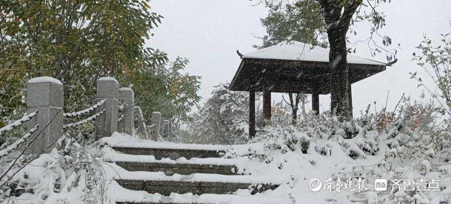 大学生|大雪下的驻济学生：校园里肆无忌惮滚雪球，那是我们的青春啊