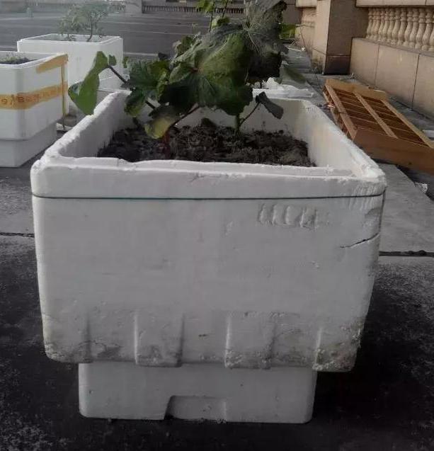 养花神器泡沫箱这般制成自动浇水箱、堆肥箱，省劲、实用！