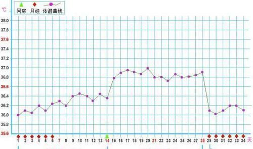 怀孕|排卵期更容易怀孕是个“骗局”，医生说这个时间比排卵期高4倍