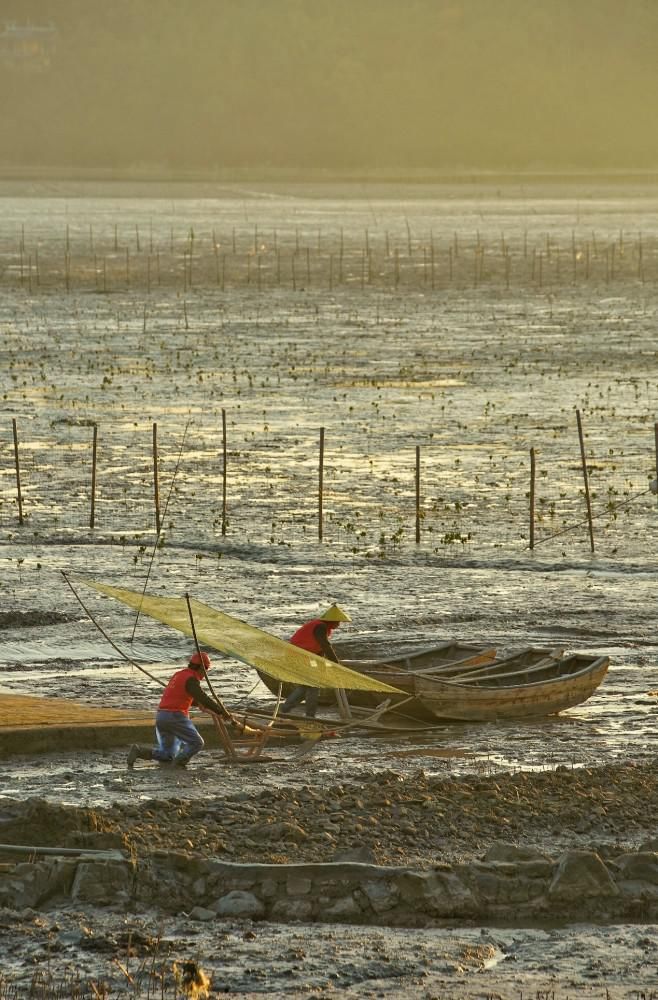 光绘沿浦 美景如画