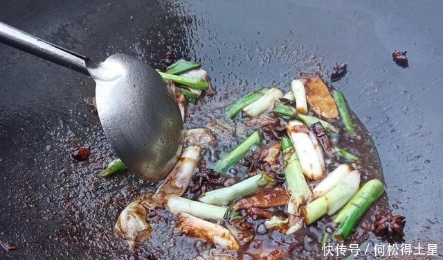 “铁锅炖大鹅”经典农村做法,软烂入味,年夜饭又多一道菜