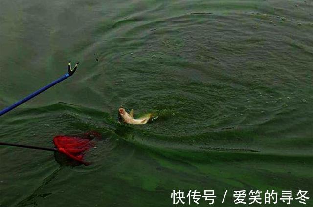 大招|老钓友分享实用钓鱼4大招,掌握以后轻松应对,子线缠绕的问题