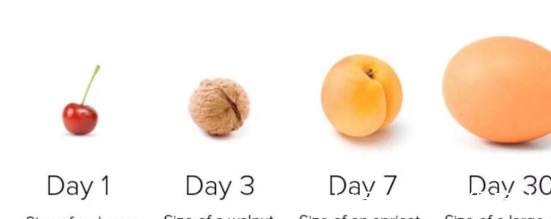 梦晗|宝宝多大才更懂事?只要熬过了这个月龄,轻松带娃没烦恼