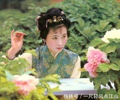 可恶&可恶的鸳鸯和省事的袭人,王熙凤的主子眼光,对丫头有不同评价