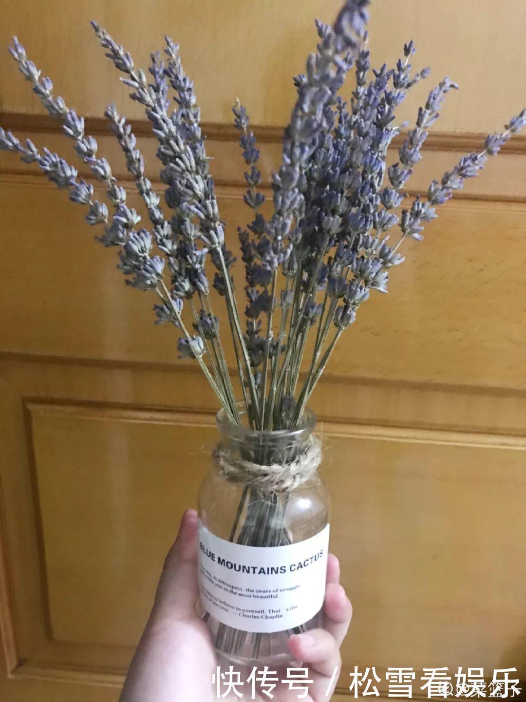 种花|3种花浑身都是宝,能炒菜能煲汤,养在屋里香气飘飘!