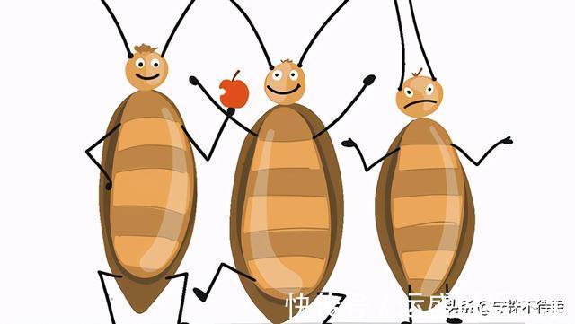 25个冷知识：书本上很少出现，但却使人渊博的有趣知识