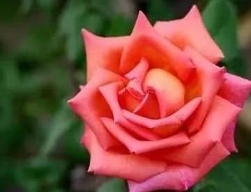  保存|建议你看完了也保存下，好多人花100万也买不来这张表！受益！