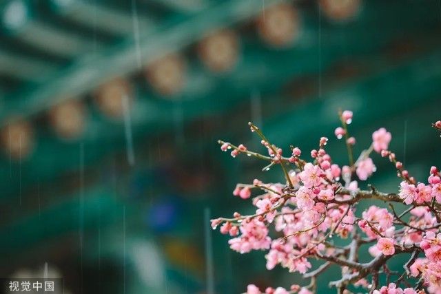 最好的安排|今日雨水！一切，都是最好的安排