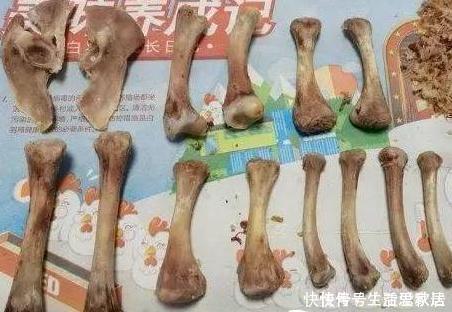 养花大爷透露这“3种料”放土里,比营养土还好用,养1盆爆1盆