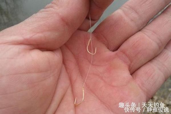 间距|台钓子线的选用技巧,子线钩间距的大小,影响了你的中鱼率