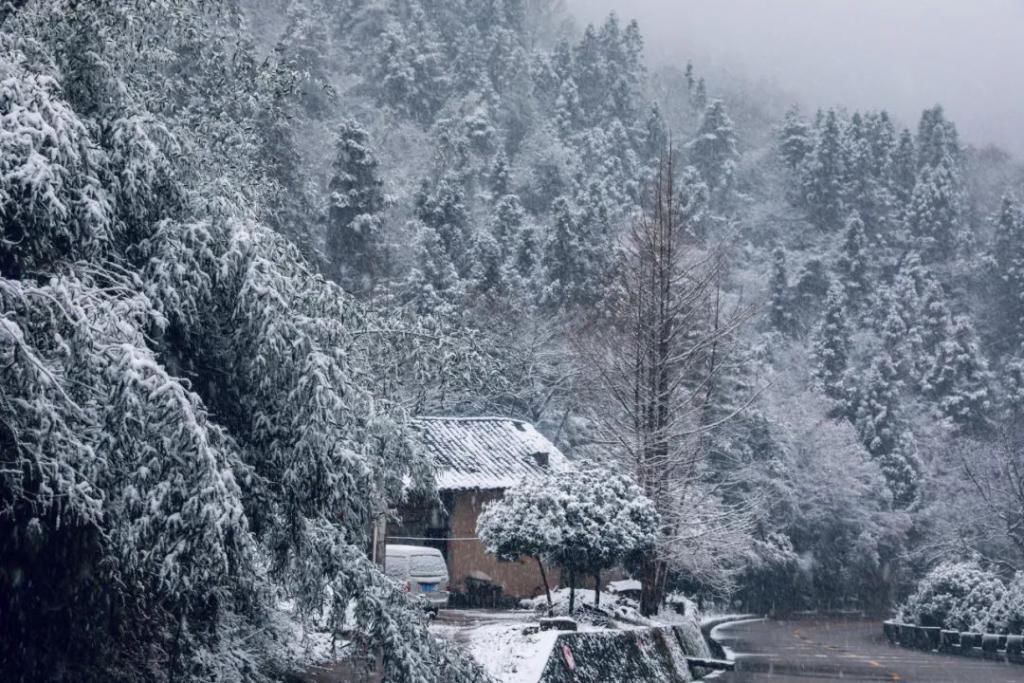 县区|初雪！周边县区雪景美图来袭！