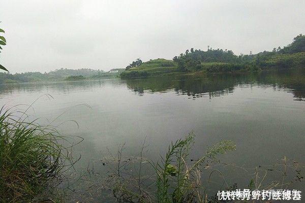 钓友|下杆须谨慎,不单用于黑坑提醒,水库同适用