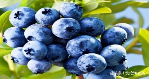 子宫|想长寿先排毒，多吃的食物，润肠通便，排除毒素，轻松甩掉肚腩