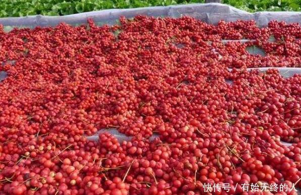 肝脏|肝脏“保护者”出现,不是枸杞,坚持吃对肝好